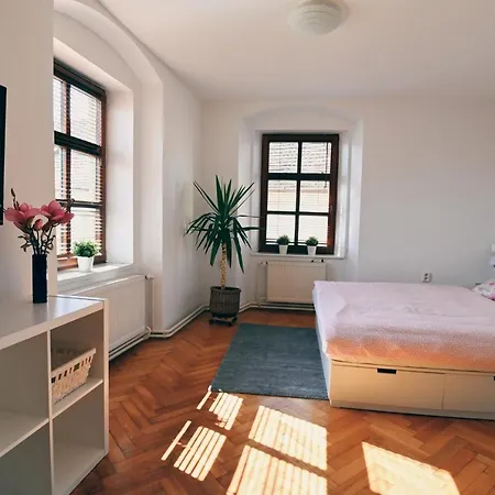 New Apartment *
